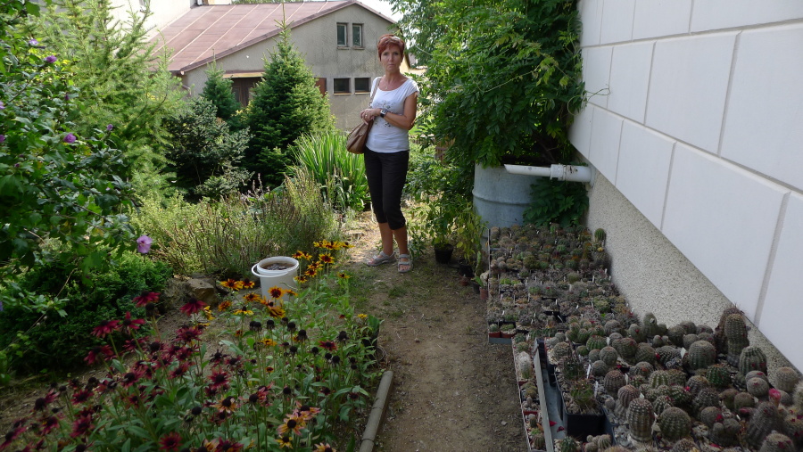 39. Moje manželka Jitka prohlíží zahradu