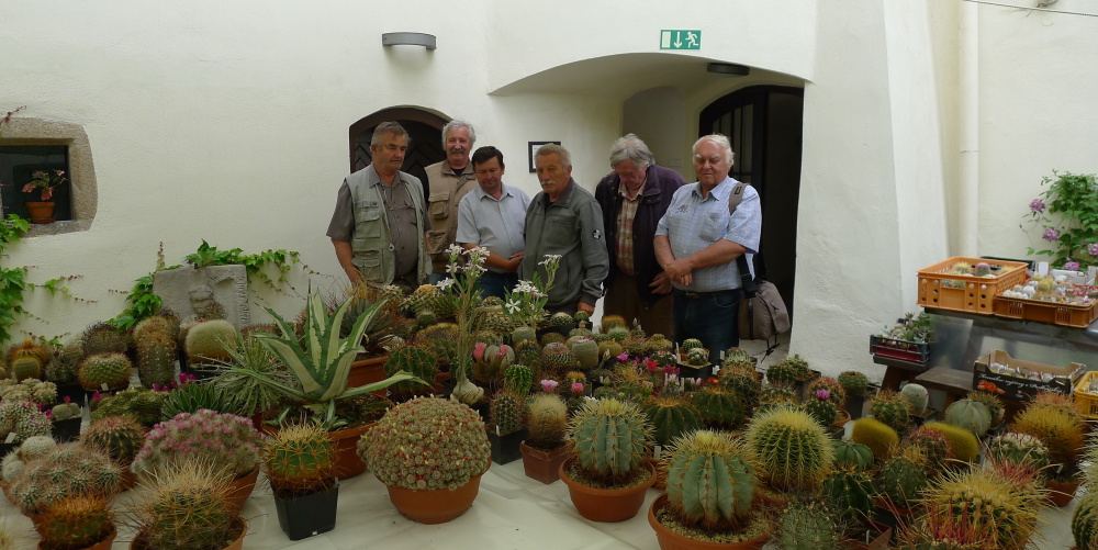 2 Výstava kaktusů 2015