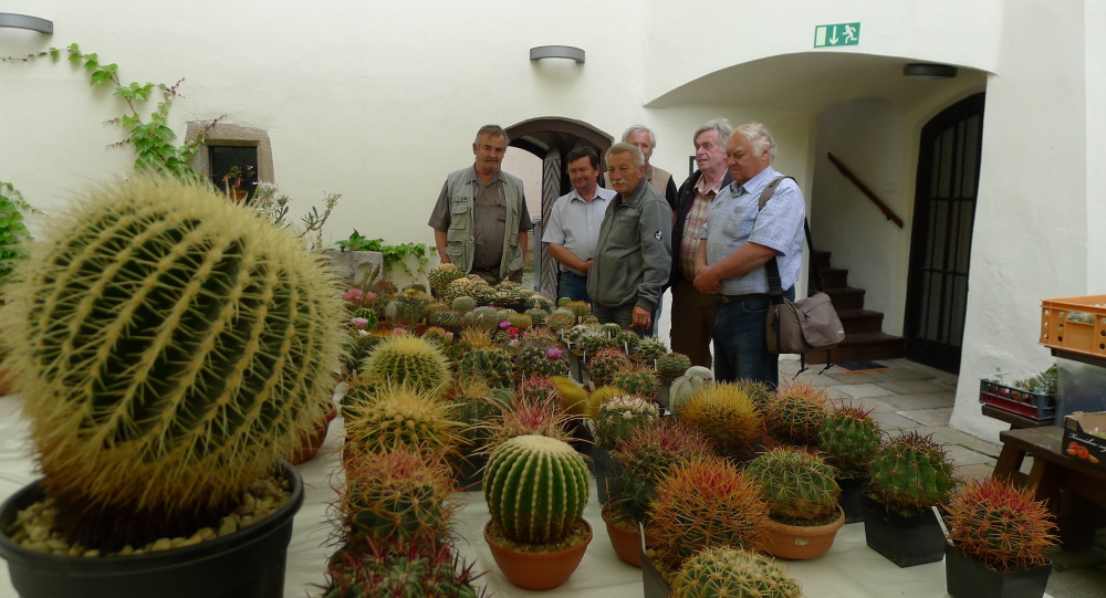 3 Výstava kaktusů 2015