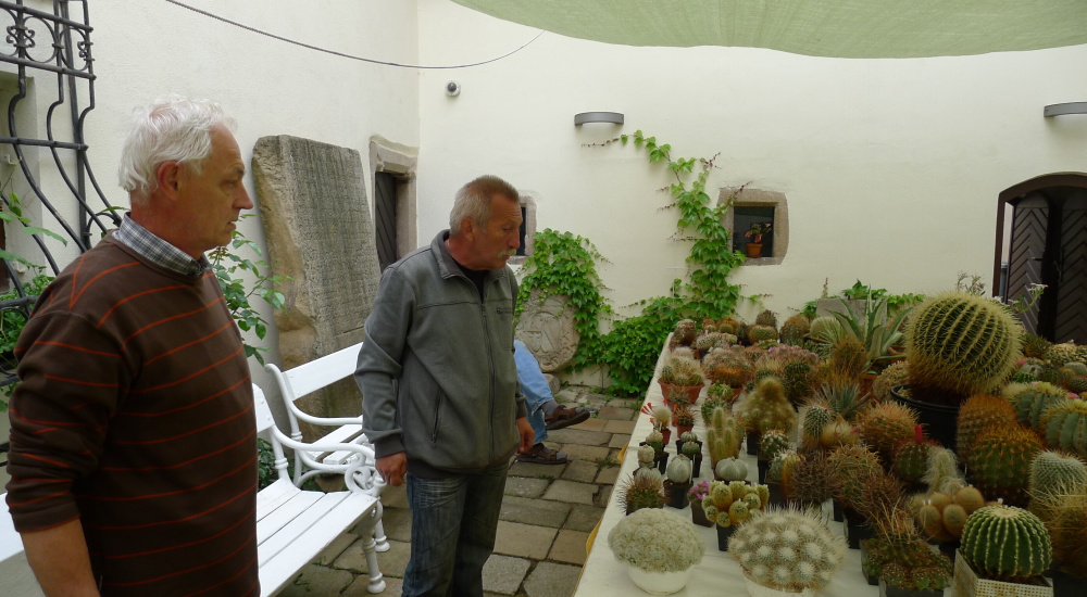 6 Výstava kaktusů 2015