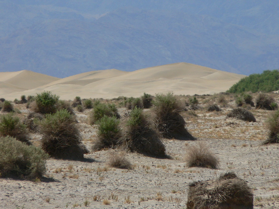 20. písečné duny